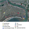 Mapas: image 3 0f 3 thumb